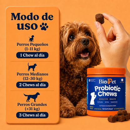 Snack Probiótico | Mejora bienestar de tu mascota