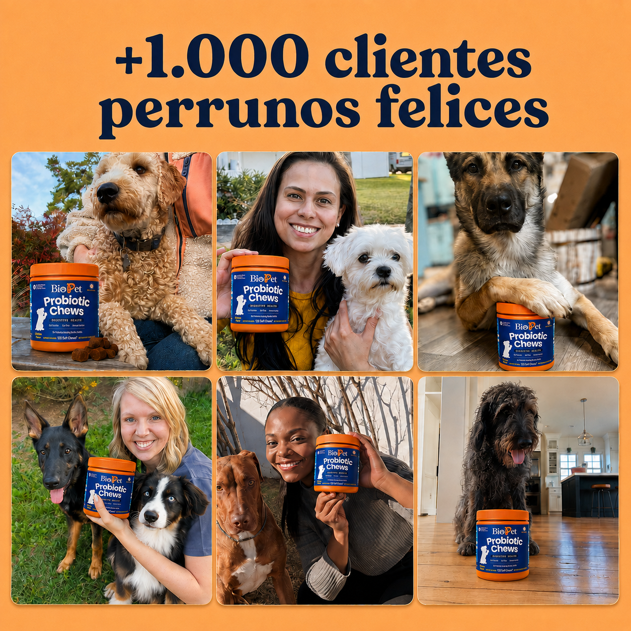 Snack Probiótico | Mejora bienestar de tu mascota